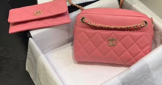 chanel small camera case