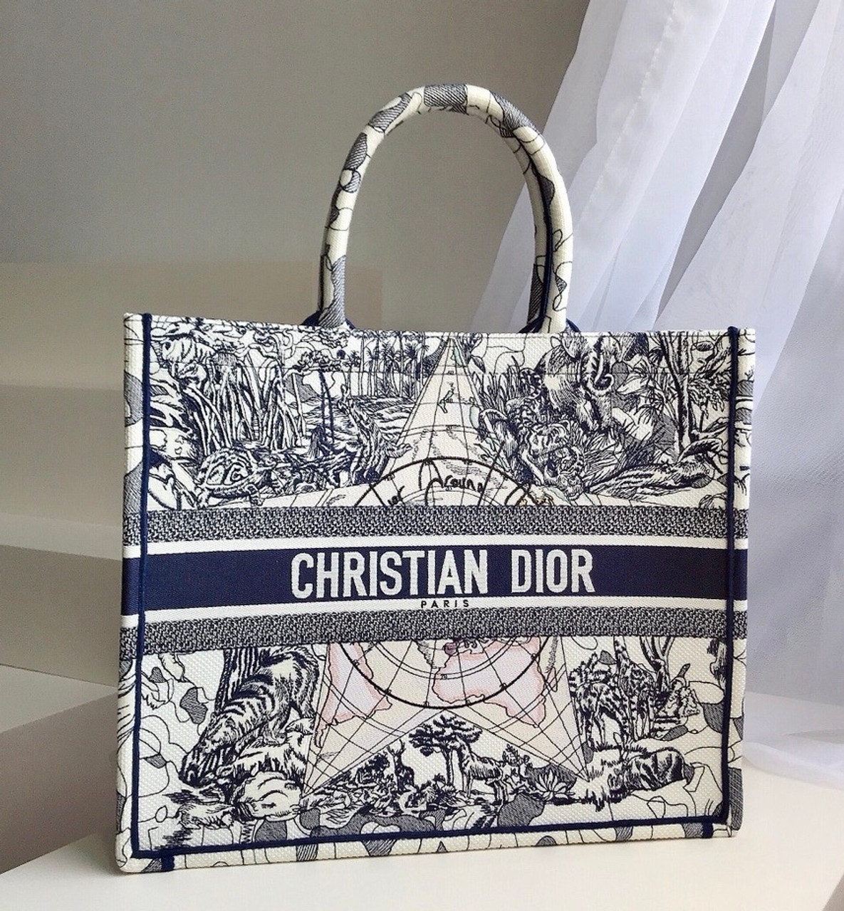 dior tote book