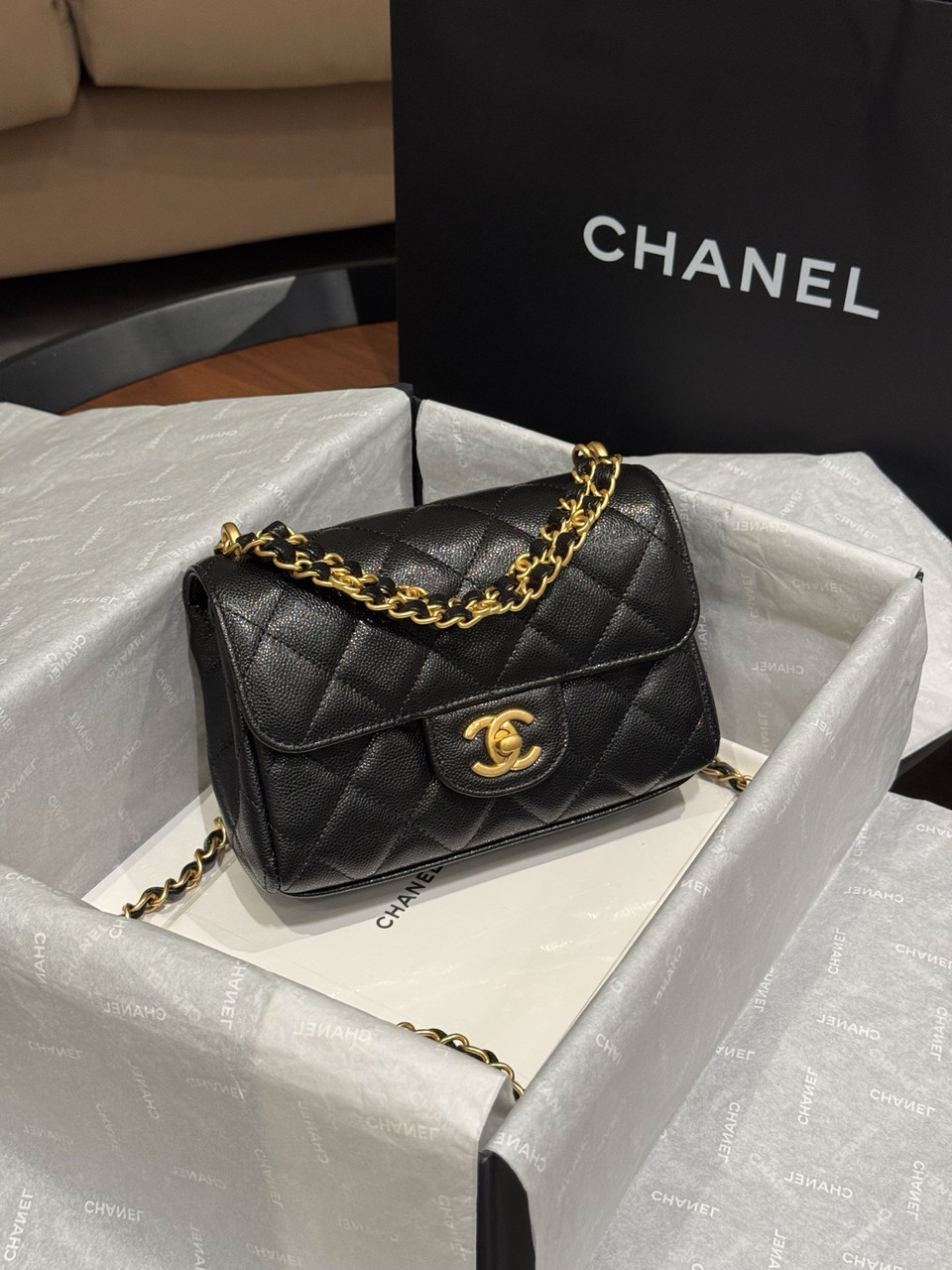 Chanel SPRING-SUMMER 2025 PRE-COLLECTION MINI FLAP BAG - BVPRIVE