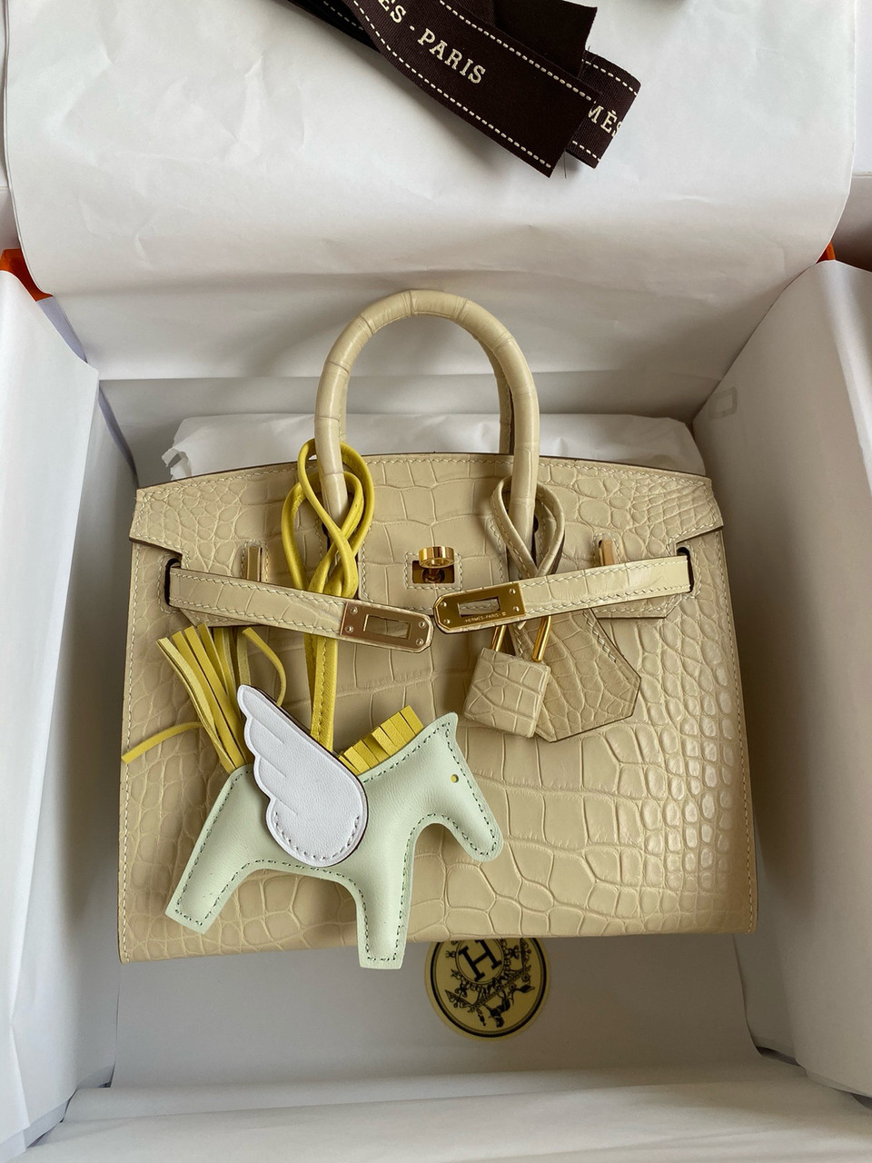 Hermès Birkin 20 Vanilla Alligator Gold Hardware - BVPRIVE