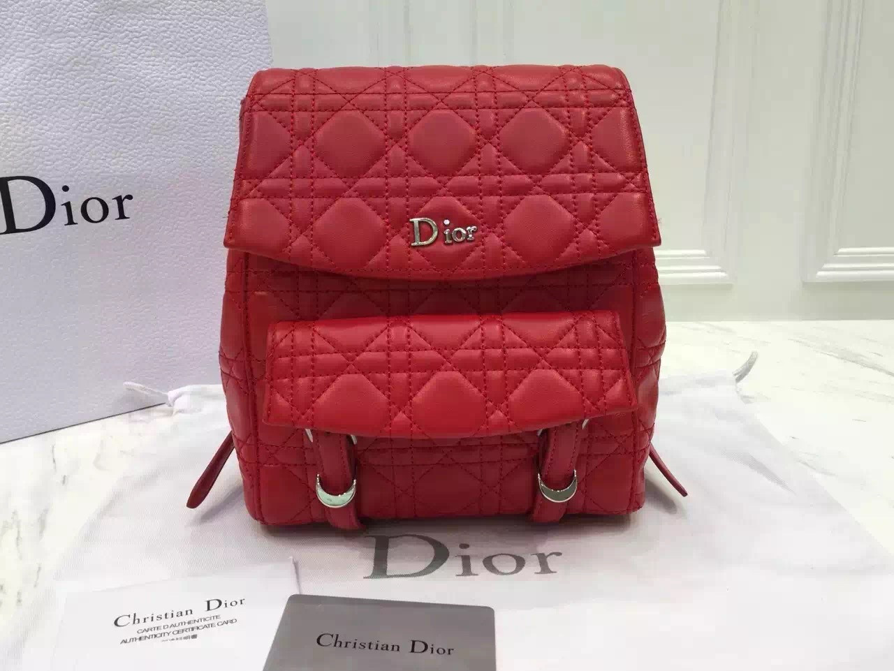 dior stardust backpack