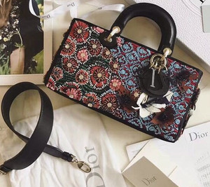 Christia Dior Dior Embroidered Runway Bag 2016 Limited Edition (II)
