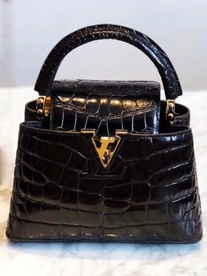 Louis Vuitton CAPUCINES MINI Crocodilien Brillant  N93163