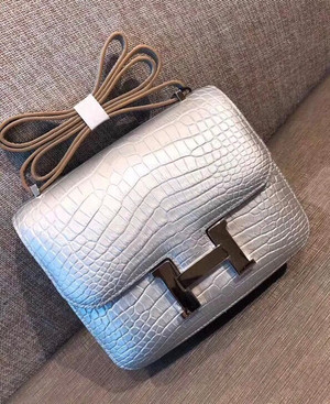 Rare Hermes Silver Constance 18 Alligator