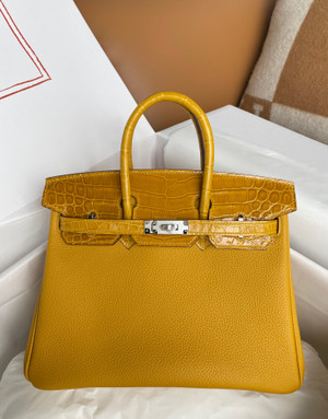 Hermes Birkin Touch 25 Amber Shiny Niloticus Crocodile & Togo leather with Gold Hardware