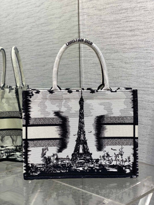 Christian Dior Medium Dior Book Tote White and Black Paris Embroidery
