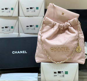 CHANEL FALL-WINTER 2024/25 22 SMALL HANDBAG PINK