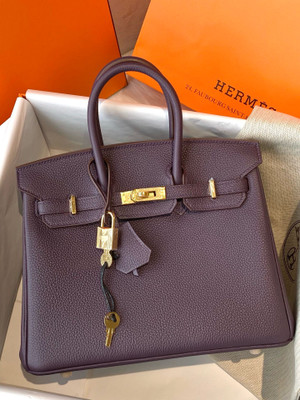 Hermes Raisin Birkin 25 cm Togo Gold Hardware