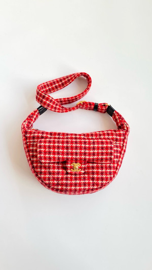 Chanel Coco Neige 2024/25 Collection   Large Hobo Bag