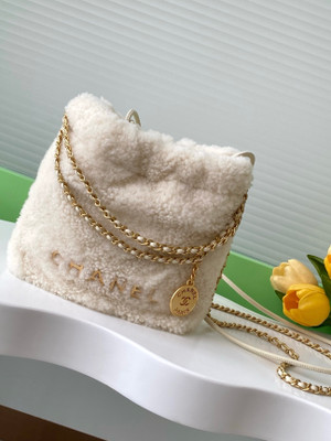 Chanel FALL-WINTER 2024/25   CHANEL 22 MINI HANDBAG   Shearling Lambskin