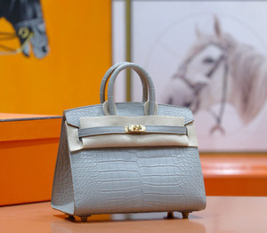 Hermès Birkin 20 Gris Perle Alligator Gold Hardware
