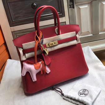 Hermes  Q5 Rouge Birkin 25cm Epsom Gold Hardware