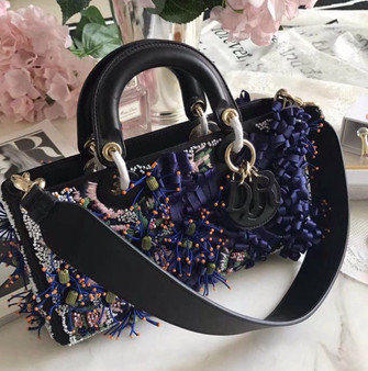 Christia Dior Dior Embroidered Runway Bag 2016 Limited Edition (I)