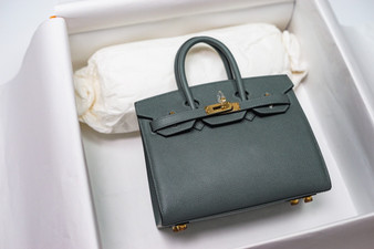  [Exclusive] Hermes Vert Amande  Birkin 20cm Epsom Gold Hardware