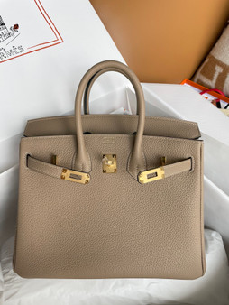 Hermes Biscuit  Birkin 25cm Togo Gold Hardware