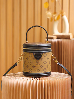 Louis Vuitton M43986 Cannes bag 