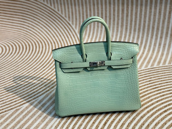 Hermes Mint Birkin Bag 25cm Alligator Palladium Hardware Hermes Mint Birkin Bag 25cm Alligator Palladium Hardware