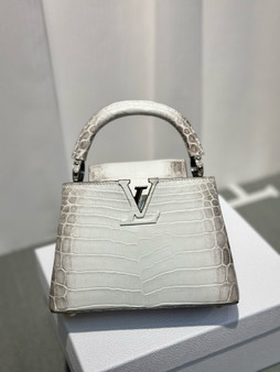 LOUIS VUITTON Himalaya Crocodile BB Capucines 