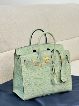 Hermès Birkin 20 Mint Alligator Gold Hardware Hermès Birkin 20 Mint Alligator Gold Hardware