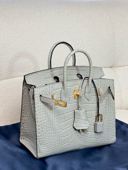 Hermès Birkin 20 Gris Neve Alligator Gold Hardware Hermès Birkin 20 Gris Neve Alligator Gold Hardware