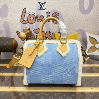Louis Vuitton Speedy 25 Bandoulière Bag