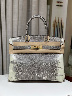 Hermes Rare OMBRÉ SALVATOR LIZARD BIRKIN 30 WITH GOLD HARDWARE