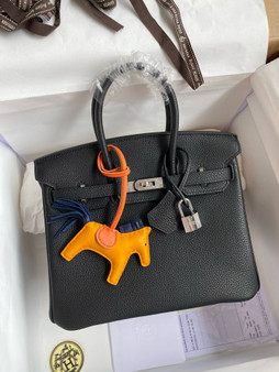 Hermes Black Birkin 25 cm Togo Palladium Hardware