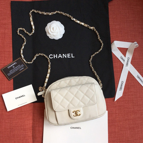 Chanel White Camera Case 2019