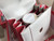 BVLGARI Limited Edition Serpenti Forever leather shoulder bag Red
