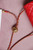 Chanel Red Flap Bag With Charm AS1787 SS2020  
