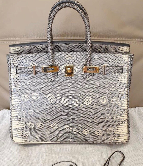 Hermes SHINY OMBRÉ SALVATOR LIZARD BIRKIN 25 WITH GOLD HARDWARE