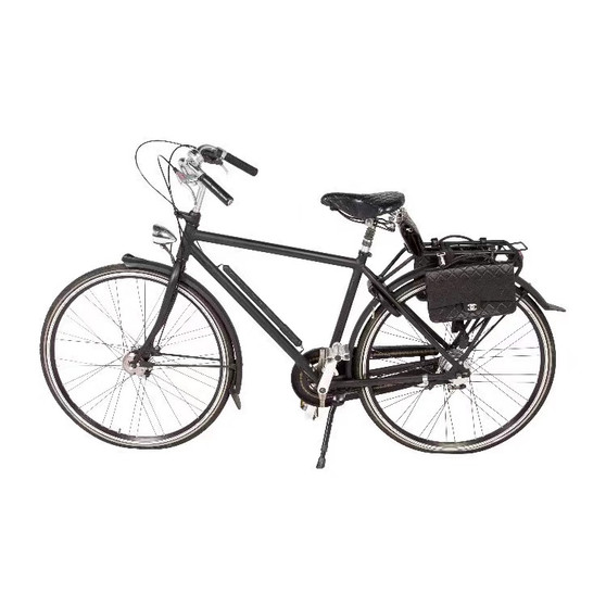 CHANEL Limited Edition Chanel Bicycle CHANEL Limited Edition Chanel Bicycle