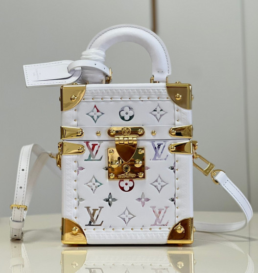 Louis Vuitton M10077 CAMERA BOX