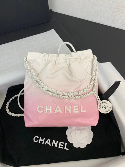 CHANEL 22 MINI HANDBAG White & Light Pink