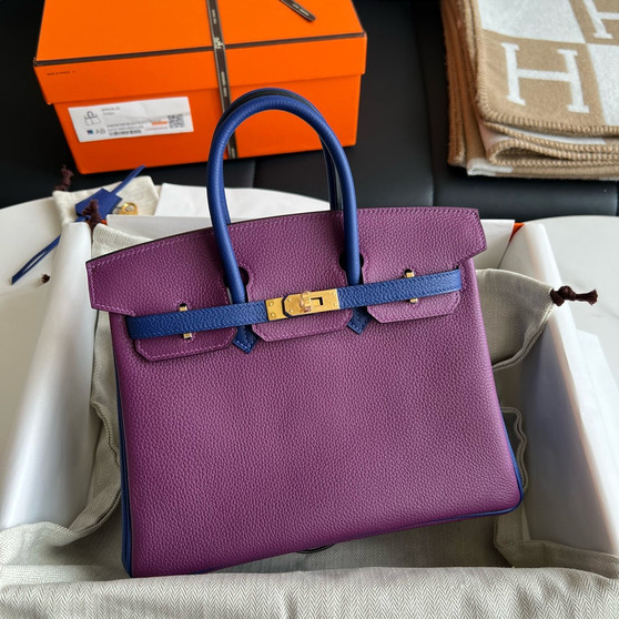 Hermes Special Order Iris/Blue Electric Birkin 25 cm Togo Gold Hardware