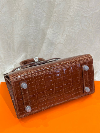 Hermès Birkin 20 Miel  Alligator Palladium Hardware Hermès Birkin 20 Miel  Alligator Palladium Hardware