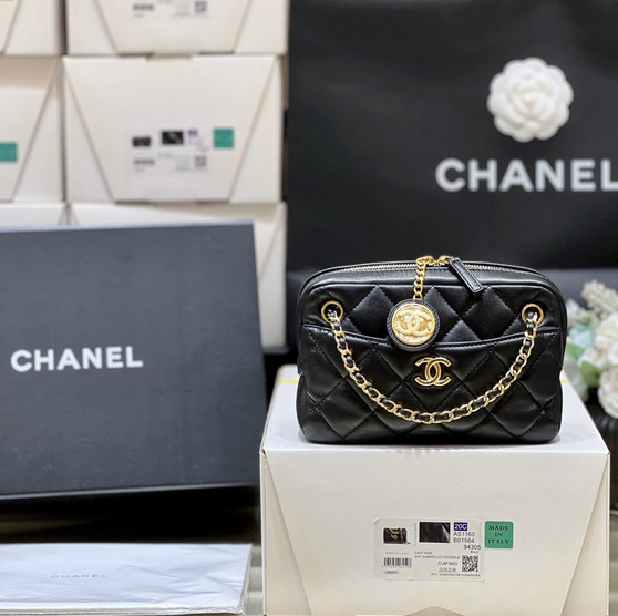 CHANEL FALL-WINTER 2024/25   MINI CAMERA CASE