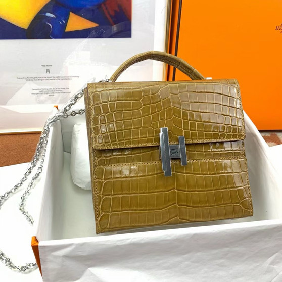 Hermès Shiny Belge Sable Niloticus Mississippiensis Cinhetic Box Bag  Hermès Shiny Belge Sable Niloticus Mississippiensis Cinhetic Box Bag