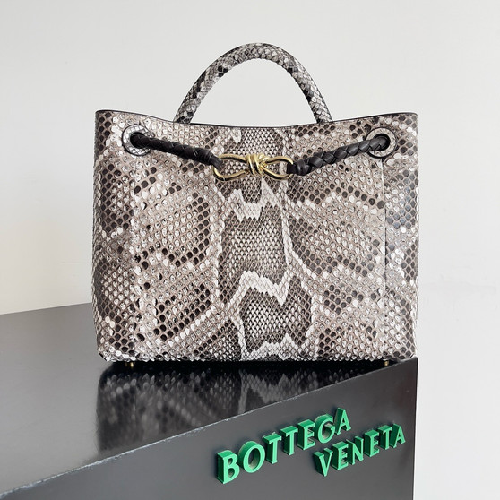 Bottega Veneta Python Andiamo Bag