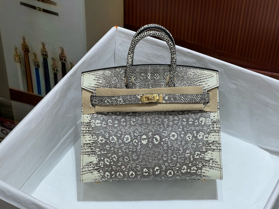 Hermes  Ombre Lizard Birkin Bag 20cm Gold Hardware