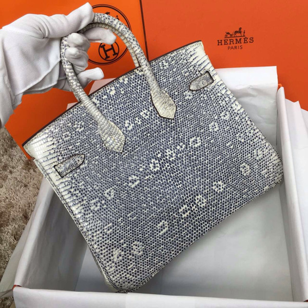 Hermes Lizard Birkin Bag 25cm Palladium Hardware