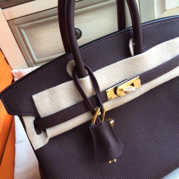 Hermes Prune  Birkin 25cm Togo Gold Hardware