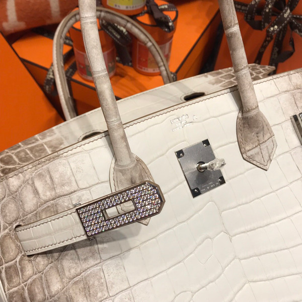 Hermes Matte Himalayan Prosperous  crocodile  Birkin bag with 18-karat white gold and diamond