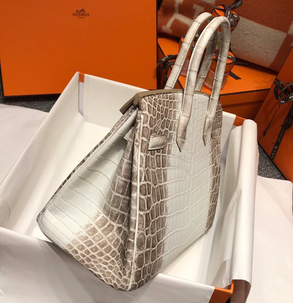 Hermes Matte Himalayan Prosperous  crocodile  Birkin bag with 18-karat white gold and diamond