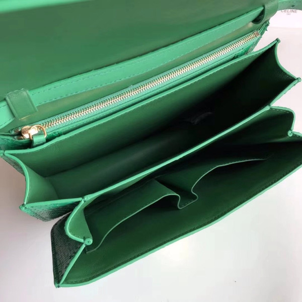 CELINE Green  Python Medium Classic Box Flap Bag