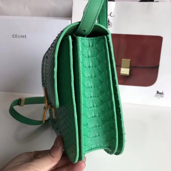 CELINE Green  Python Medium Classic Box Flap Bag