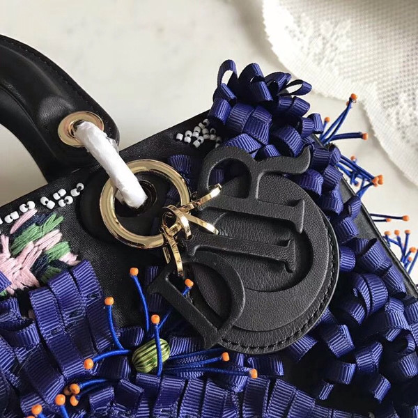 Christia Dior Dior Embroidered Runway Bag 2016 Limited Edition (I)