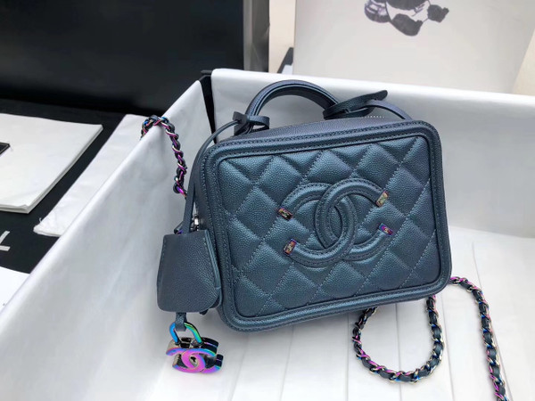 Chanel Medium Vanity Case With Iridescent Metal A93343
