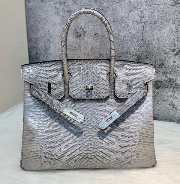 Hermes SHINY OMBRÉ SALVATOR LIZARD BIRKIN 30 WITH PALLADIUM HARDWARE
