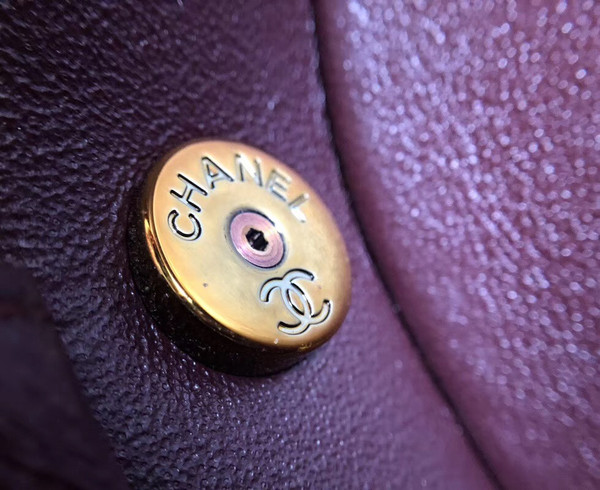 Chanel Metallic  Camera Case  AS0764
